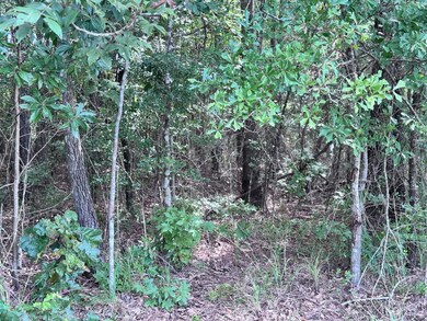 8 Abby Ln, Lumberton, MS 39455 - photo 7