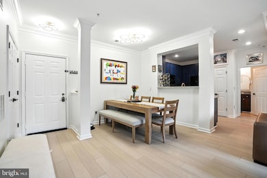 4850 Eisenhower Ave unit 302, Alexandria, VA 22304 - photo 4