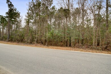 0 Alligator Ln, Andrews SC (1)