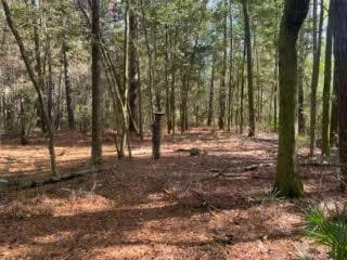 Parcel A Sunburst Dr, Crestview, FL 32539 - photo 3