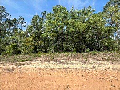 0 Holly Springs Ave unit MFROK225372, Alford, FL 32420 - photo 5