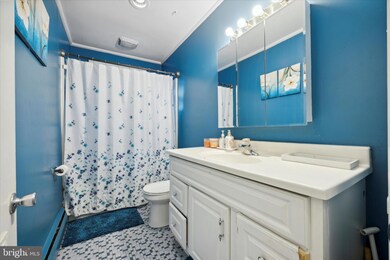 253 Callanan Ave, Bryn Mawr, PA 19010 - photo 7