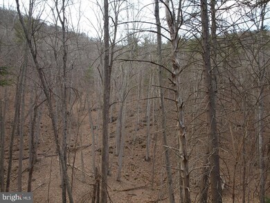 RT 220/7 Long Mountain, Franklin, WV 26807 - photo 6