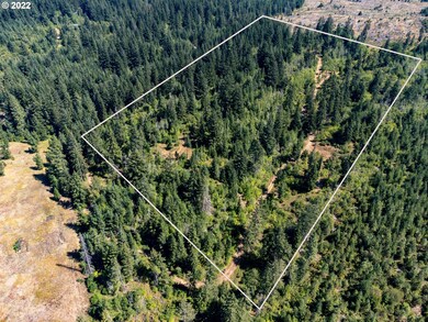 0 Coyote Song Ln unit 22276455, Snowden, WA 98672 - photo 3