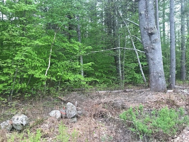 Lot 3 N Wakefield Rd unit Lot 1 on tax map, Wolfeboro, NH 03894 - photo 3