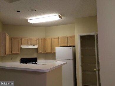 13089 Autumn Woods Way unit 201, Fairfax, VA 22033 - photo 2