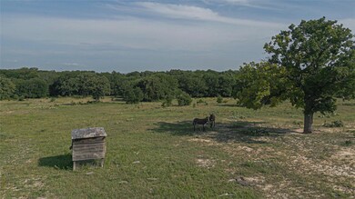 196 Private Road 4590, Boyd, TX 76023 - photo 6