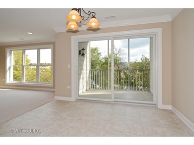 206 N Water St unit 203, Batavia, IL 60510 - photo 6