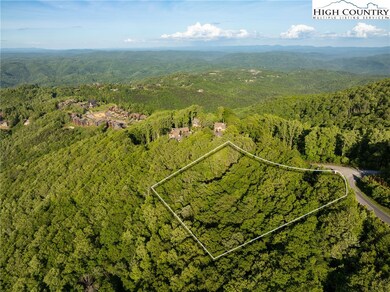 *Homesite outline in photos is not a survey and th
