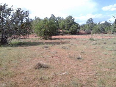 Lot 160 Juniperwood Ranch, Ash Fork, AZ 86320 - photo 4