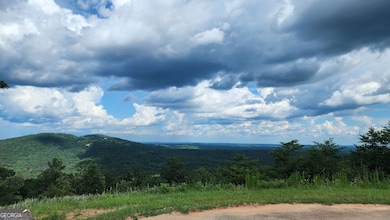 0 Mountain Glen Ct unit 10516262, Clarkesville, GA 30523 - photo 6