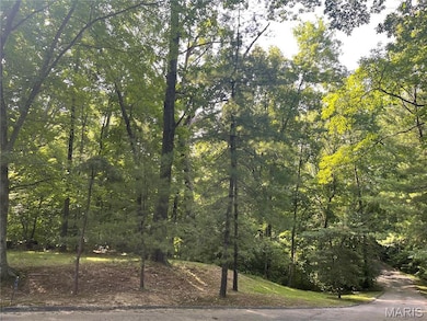 17421 Private Valley Ln, Chesterfield, MO 63005 - photo 7