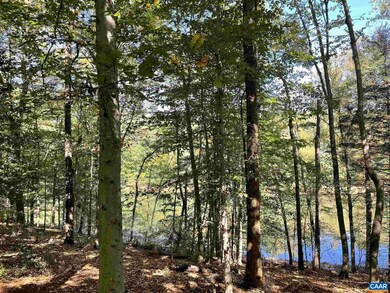 Lot A6 High Crest Ln unit A6, Nellysford, VA 22958 - photo 4