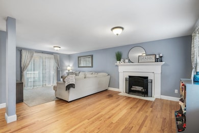 22 Dorothy Dr, Epping, NH 03042 - photo 7