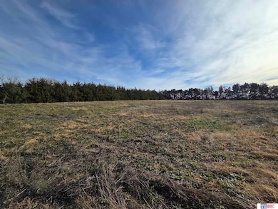 44529 U S 77, Wymore, NE 68466 - photo 6