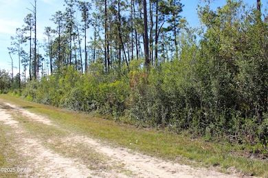 0 Gardenia St unit 780786, Fountain, FL 32438 - photo 3