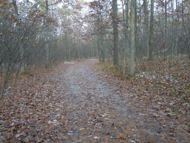 1112 W Woodland Park Dr, Bitely, MI 49309 - photo 6