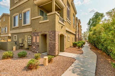 03-Cave Creek