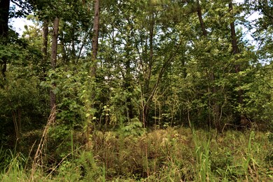 0 Cherry Hill Rd unit 25023693, Hollywood, SC 29449 - photo 6