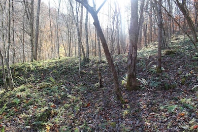 0 Middle Fork Greasy Creek Rd, Boons Camp, KY 41204 - photo 3