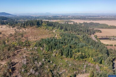 38733 Wildflower Next To Dr, Lebanon, OR 97355 - photo 3