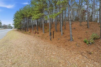 0 Mohawk Trail unit 7688155, Suwanee, GA 30024 - photo 2