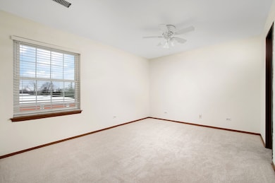 1345 E Wyndham Cir unit 203, Palatine, IL 60074 - photo 6