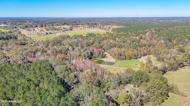 449 Old Highway 80, Morton, MS 39117 - photo 5