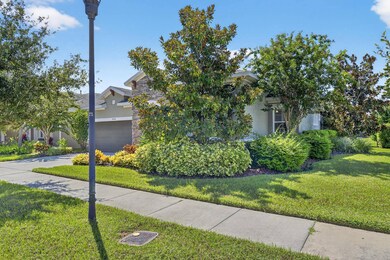 6903 Crestpoint Dr, Apollo Beach, FL 33572 - photo 5