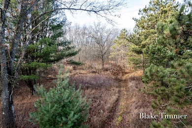 0 E 88th St unit 25061606, Newaygo, MI 49337 - photo 7