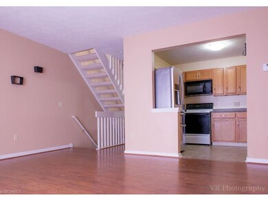 714 Gold Leaf Ct, Streetsboro, OH 44241 - photo 6