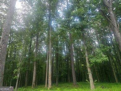 6147 Little Ridge Rd, Acworth, GA 30102 - photo 7