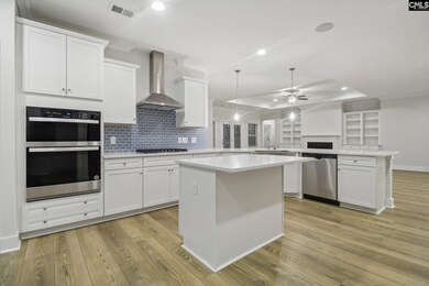 302 Murray Falls Ln, Chapin, SC 29036 - photo 5