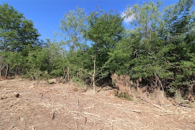 TBD Farm To Market Road 2860, Kemp, TX 75143 - photo 6