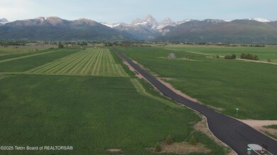 DJI1