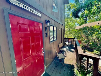 145 State Park Rd unit P2, Jamestown, KY 42629 - photo 3