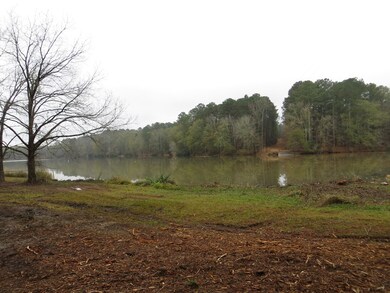 00 Sugar Creek Trail, Buckhead, GA 30625 - photo 5