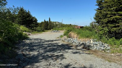IMG_7774