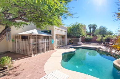 Back/Pool