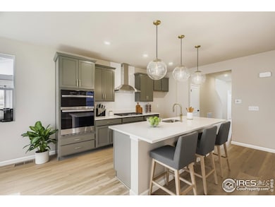 744 Wood Sorrel Ln, Fort Collins, CO 80524 - photo 4