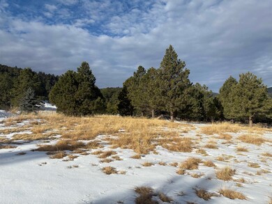 10 Copper Canyon Ct unit 10, Cloudcroft, NM 88317 - photo 2