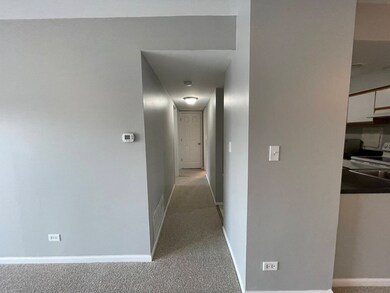 4400 Euclid Ave unit 2A, Rolling Meadows, IL 60008 - photo 5