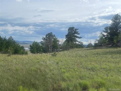 171 Emerald Way, Lake George, CO 80827 - photo 6