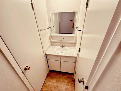 Bathroom featuring wood finished floors and vanity