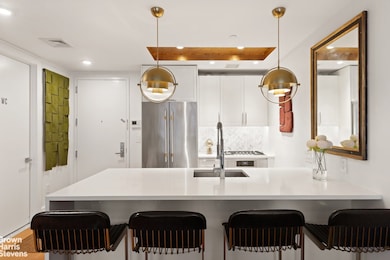 47 Bridge St unit TWHSB, Brooklyn, NY 11201 - photo 5