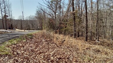 3 Bolton Ln, Bella Vista, AR 72715 - photo 6