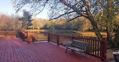 Freshly Stained Deck