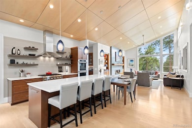 29574 Canterbury Cir, Evergreen, CO 80439 - photo 5