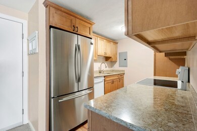 103 Grove St unit 325, Rockland, MA 02370 - photo 4