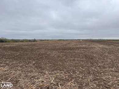 3576 Road T, David City, NE 68632 - photo 5